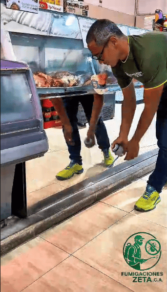 Fumigación profesional cocina